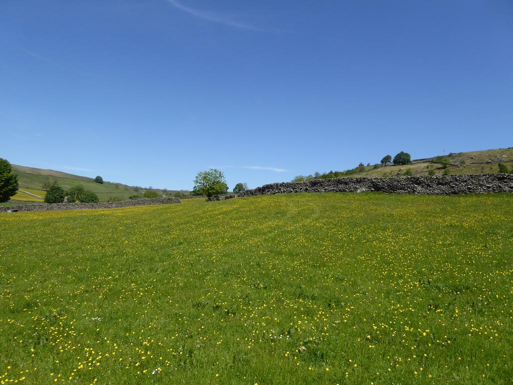 Orchard House Bed And Breakfast Hebden Exteriör bild
